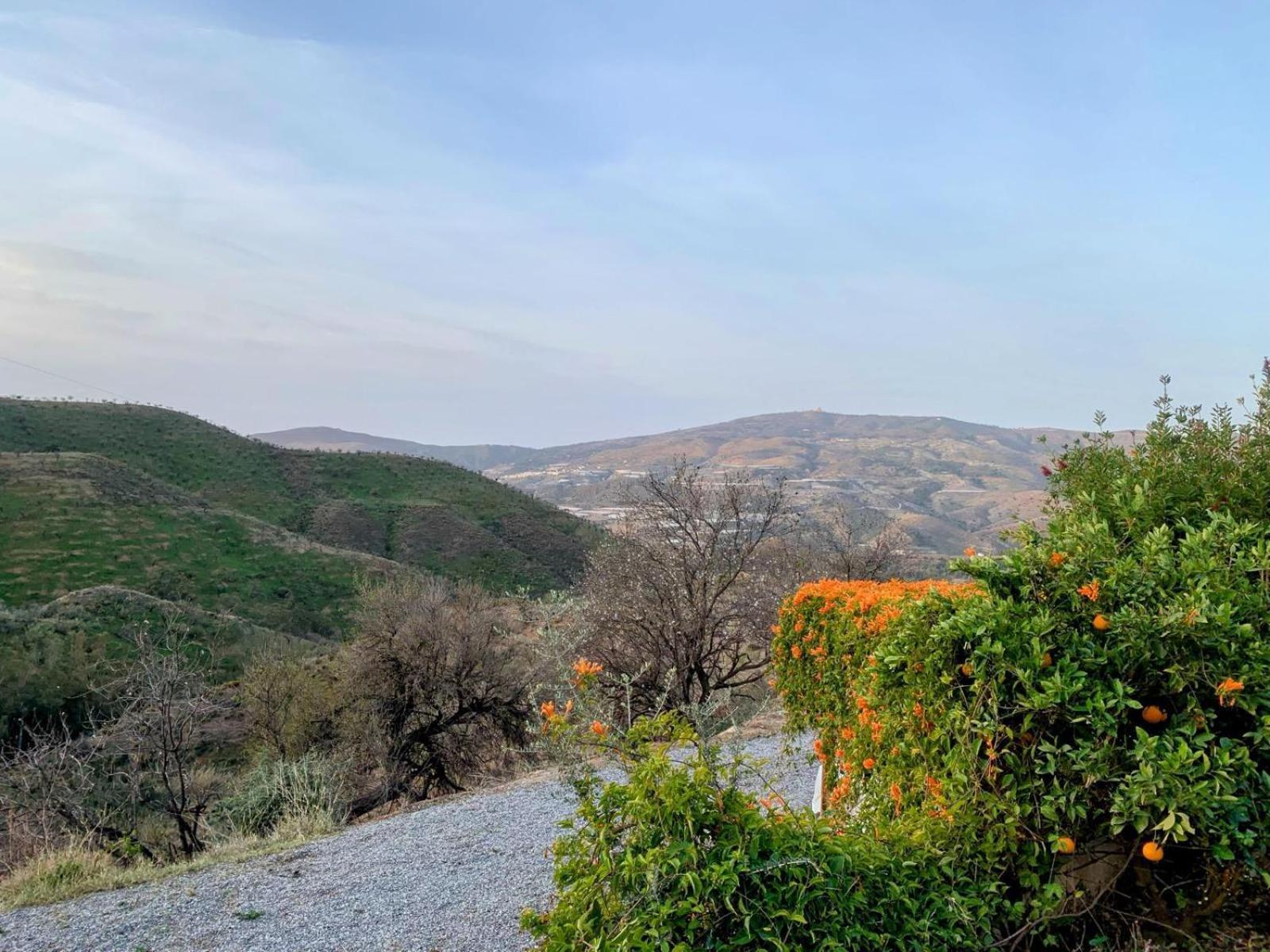 The Vine Studio Rubite  Dış mekan fotoğraf